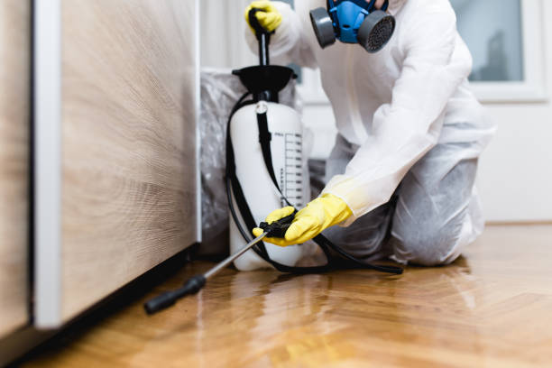 Best Emergency Pest Control  in Linden, AZ