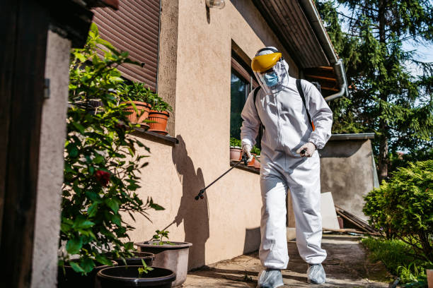 Best Mosquito Control Services  in Linden, AZ