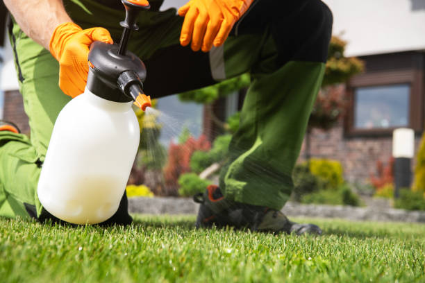 Best Commercial Pest Control Services  in Linden, AZ