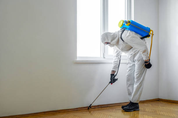 Trusted Linden, AZ Pest Control Experts